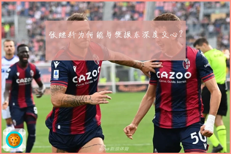 张继科为何能与樊振东深度交心？