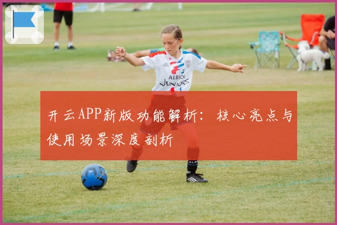 开云APP新版功能解析:核心亮点与使用场景深度剖析