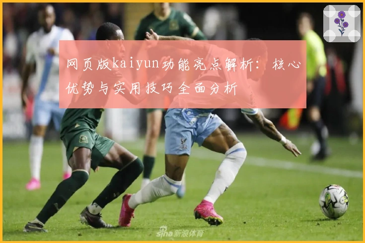 网页版kaiyun功能亮点解析：核心优势与实用技巧全面分析